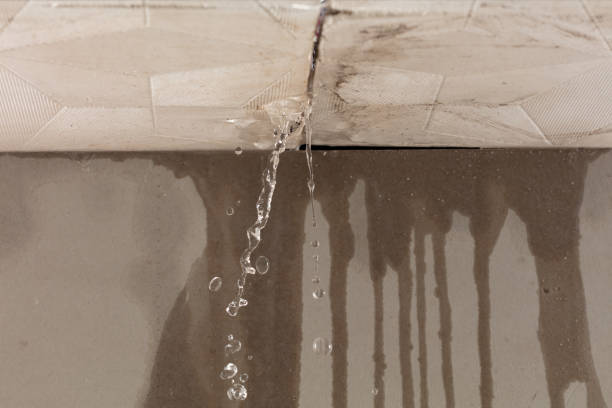 Professional Water Damage Inspection technician working in Pottstown, PA